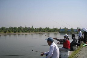 夏天水库钓鱼技巧大揭秘（选位、选饵和打窝）