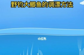 野钓空心颗粒的调漂方法与技巧（掌握钓鱼技巧）