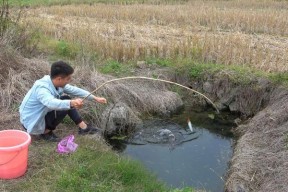 冬天深水坑钓鱼技巧与方法（钓鱼好时机掌握住冬天深水坑诀窍揭秘）