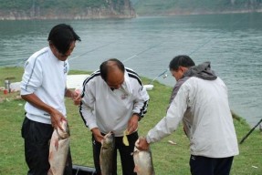 钓鱼技巧（4月，东北湖泊钓鱼技巧大揭秘！）