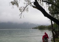 雨水降温下的钓鱼技巧（掌握降温期的鱼情）