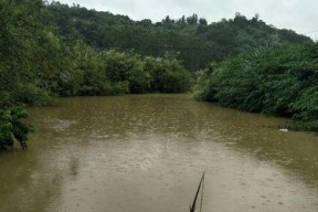 雨天钓鱼技巧（掌握雨护城河）