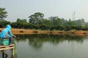 舞阳河钓鱼技巧（掌握技巧）