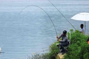 寒露后的野河钓鱼技巧（掌握秋季水温变化）