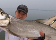 浑水野塘钓鲈鱼的技巧（掌握关键要点）