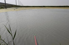 冬天钓鱼技巧之钓鱼提竿时机（抓住冬季鱼儿进食高峰，提竿钓鱼的窍门）