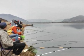 冬季钓鲤鱼技巧（寒冷季节提高钓鲤鱼成功率的关键点）