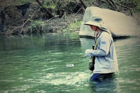 山涧溪流水钓鱼技巧（探秘山涧溪流）