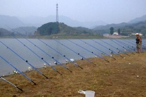 冷天水库钓鱼的技巧与方法（冷天水库钓鱼）