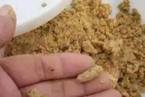 秋季钓鱼饵料搭配技巧（挑选合适的饵料让你成为钓鱼高手）