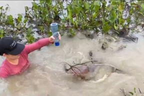 印度水坑钓鱼技巧（掌握印度水坑钓鱼的技巧和窍门）