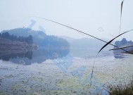 冬天湖水钓鱼技巧（冬季湖水钓鱼技巧）