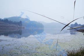 冬天湖水钓鱼技巧（冬季湖水钓鱼技巧）