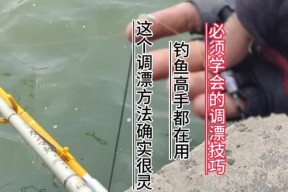 钓鱼调漂挂饵技巧大全（掌握钓鱼调漂的关键技巧，提升钓鱼成功率）