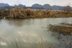 雨天野河浑水钓鱼技巧（如何在雨天中采用浑水钓鱼技巧提高钓鱼成功率）