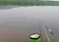 雨天钓鱼技巧（雨中垂钓）