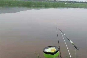 雨天钓鱼技巧（雨中垂钓）