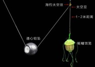 野钓鲢鳙技巧大揭秘（掌握海竿钓法轻松捕获鲢鳙）