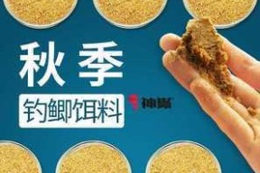 以面饵钓鱼的技巧与方法（钓鱼爱好者必备的面饵钓鱼技巧与窍门）