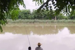 滑口鲤鱼垂钓技巧（发掘滑口鲤鱼钓点的关键技巧）