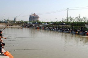 河沟钓鱼技巧与方法（掌握关键技巧）