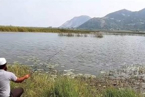 夏日野钓乐趣无限（夏天钓鱼技巧分享）