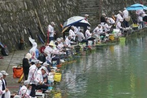 山清水秀钓鱼技巧教程（轻松掌握钓鱼技巧）