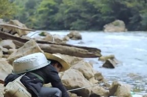 野钓溪流钓鱼技巧实战指南（掌握技巧）