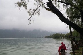 冬天黑坑下雨钓鱼技巧（寒冬中的湖泊钓鱼秘诀）