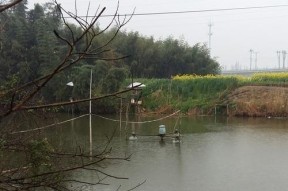 雨天钓鱼技巧——风雨中的丰收（钓鱼技巧）