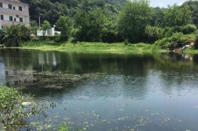 炎热夏日钓鱼技巧（如何在炎热夏日下提升钓鱼技巧）