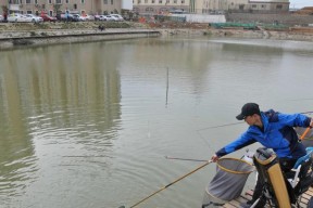 解决钓鱼技巧之鱼不吃钩的问题（提高钓鱼技巧，增加成功率）