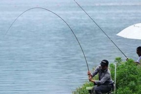 湖泊野钓打窝技巧（掌握湖泊野钓技巧）