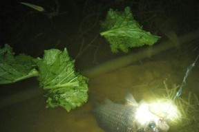 秋季连续雨天钓鱼技巧（应对雨天的钓鱼技巧及经验分享）