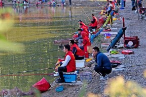 廊坊黑坑钓鱼技巧（探秘廊坊黑坑钓鱼绝技）