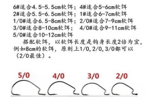 掌握一杆一钩一线钓鱼技巧和方法（钓鱼达人分享的专业经验）