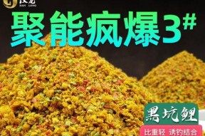 新手钓鱼技巧与饵料配方（提升钓鱼技巧）