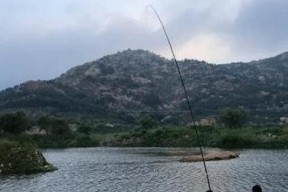 初夏江汉平原钓鱼技巧（探秘鱼情）