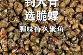 贝壳钓鱼的方法和技巧（探秘贝壳钓鱼的奥秘，提升钓鱼技巧）