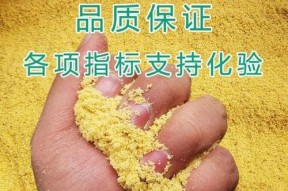 大豆钓鱼的正确方法与技巧（掌握这些关键技巧，让你的钓鱼更加成功）