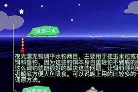 夜钓调漂技巧教程（细致入微）