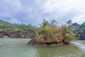 武夷山钓鱼技巧（探寻武夷山的钓鱼秘密）