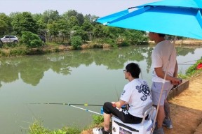 午天热池塘钓鱼的技巧（钓鱼者必知的热池塘渔获宝典）