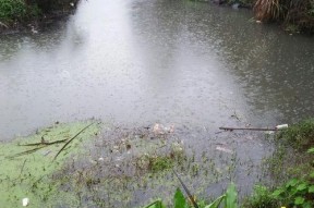 雨天钓鱼技巧（暮春下雨）