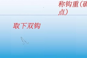 钓鱼技巧之调平水大法（掌握关键技巧，提高钓鱼成功率）