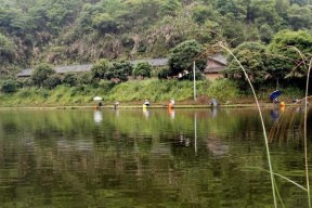 荒废水库钓鱼技巧与方法（如何在荒废水库中获得丰硕的钓鱼收获）