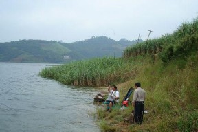 市民大厅钓鱼技巧（掌握技巧）