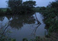 河道涨水的野钓技巧与方法（应对河道涨水的钓鱼秘籍）