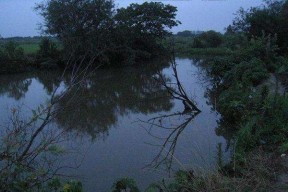 河道涨水的野钓技巧与方法（应对河道涨水的钓鱼秘籍）