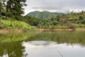 大雨水库钓鱼技巧与方法（探寻水库中的丰鱼宝地）